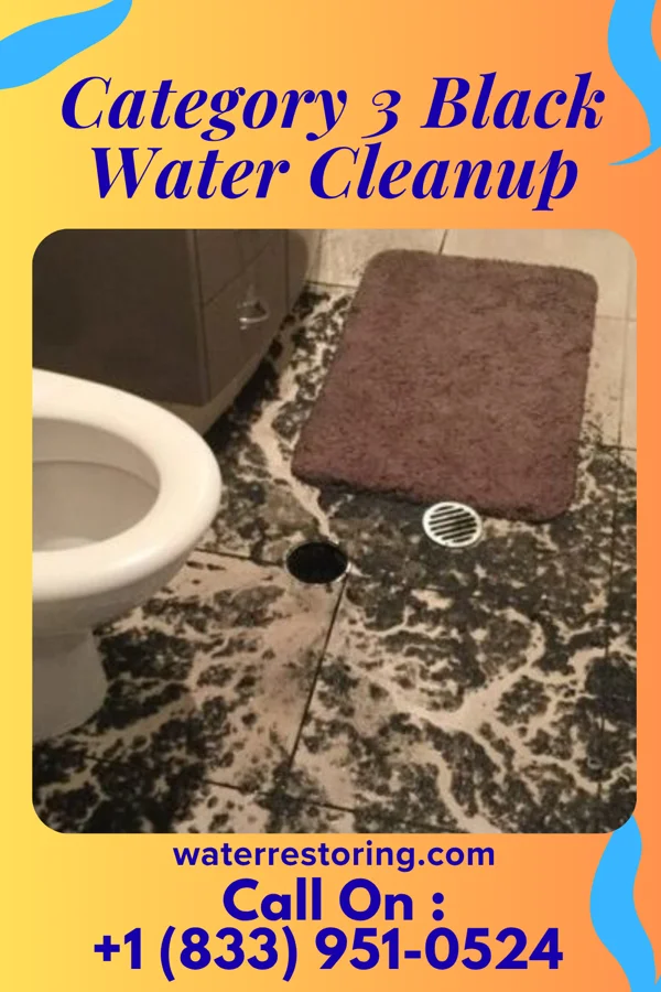 Category 3 Black Water Cleanup in Montreat, NC