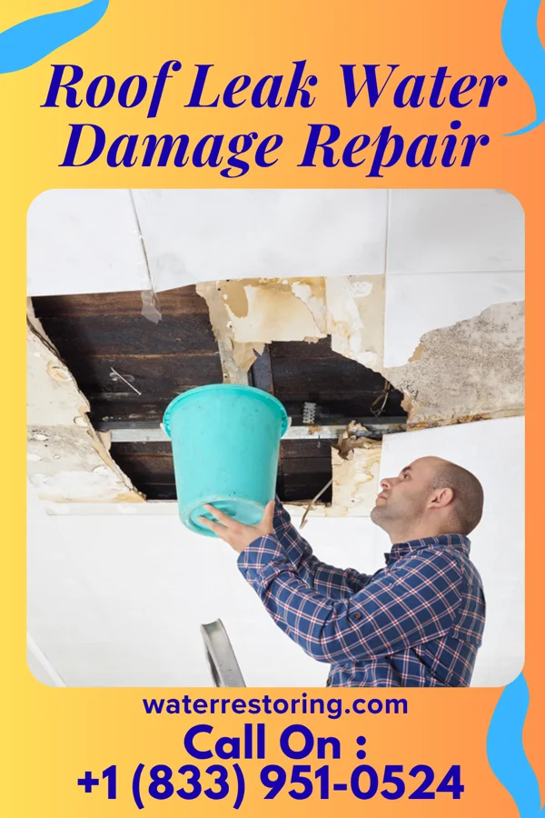 Roof Leak Water Damage Repair in Montreat, NC